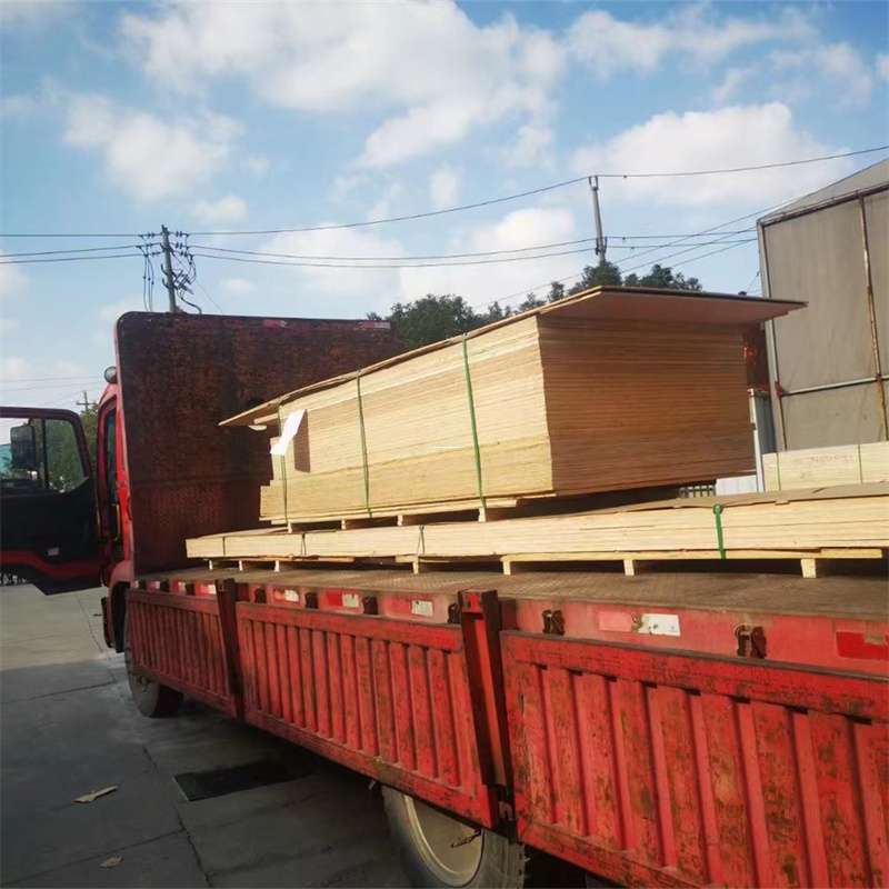 吉林辽源东辽县至塔城货运专线，一站式物流服务助您成功